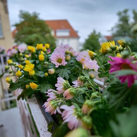 Appartement Otto I - Erfurt Zentrum Bagian luar foto