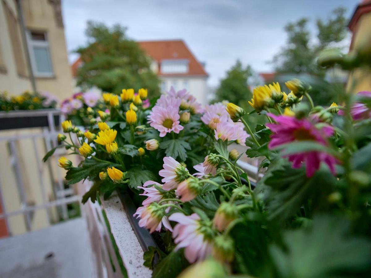 Appartement Otto I - Erfurt Zentrum Bagian luar foto